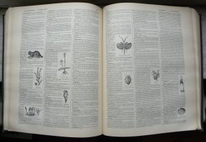 1280px-Nouveau_Dictionnaire_Larousse_page